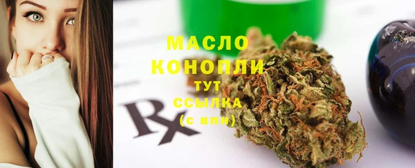 стаф Каменка