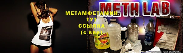 apvp Инта