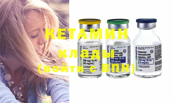 стаф Каменка