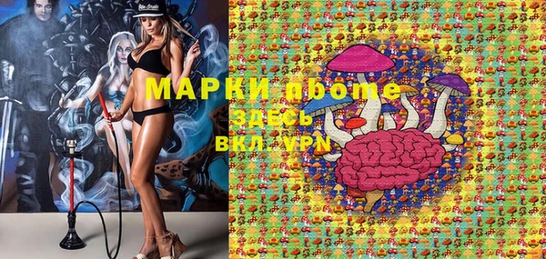 apvp Инта