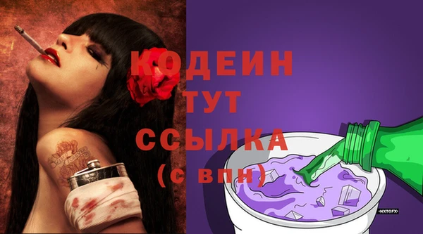 соль ск Иннополис