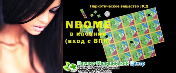 стаф Каменка