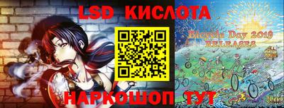 гашик Сланцы