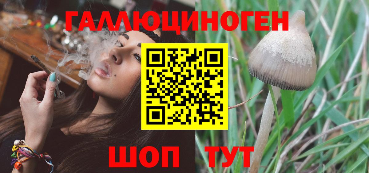 Галлюциногенные грибы Magic Shrooms  Вход с VPN  Соликамск 