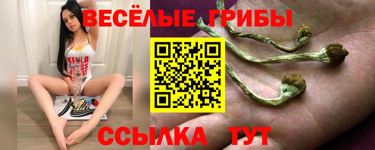 Псилоцибиновые грибы Psilocybine cubensis Соликамск